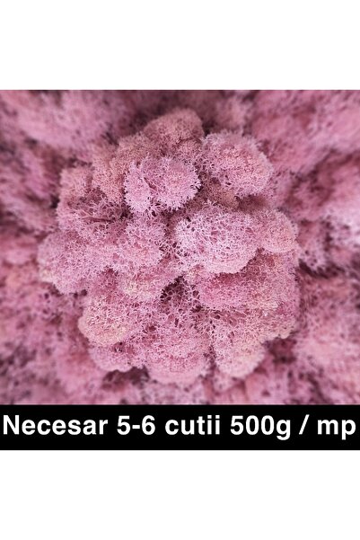 Roberto Rossi Licheni curatati si fara radacina conservati 500g NET, calitate...