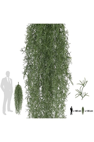 Roberto Rossi Planta curgatoare Long hair (tillandsia) 135 cm verde padure