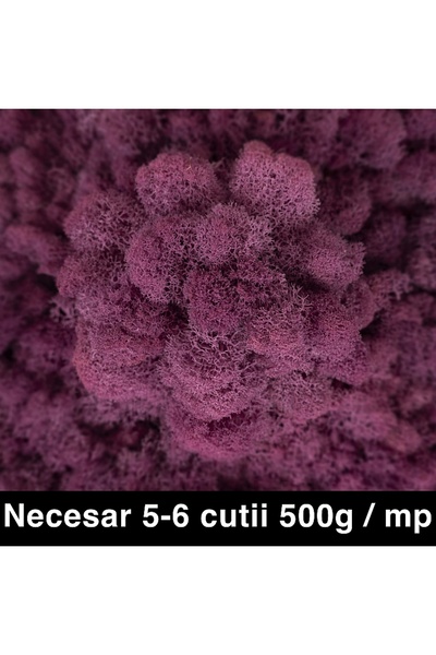 Roberto Rossi Licheni curatati si fara radacina conservati 500g NET, calitate...