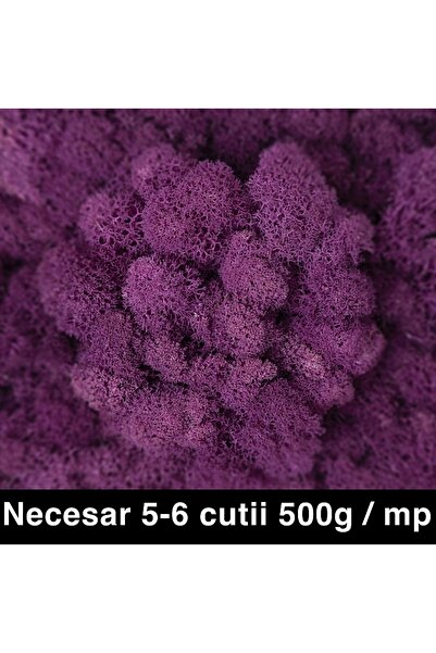 Roberto Rossi Licheni curatati si fara radacina conservati 500g NET, calitate...