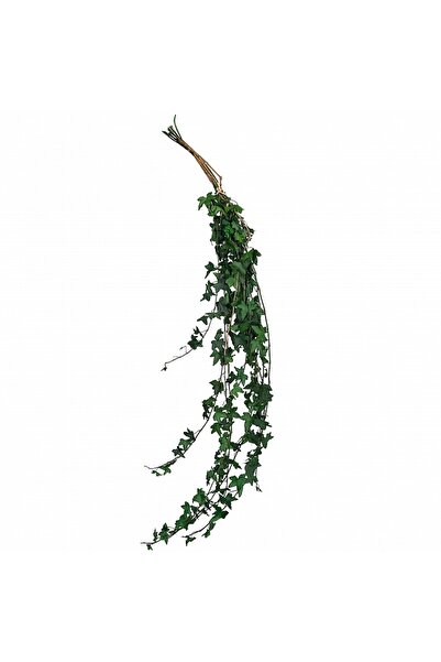 Roberto Rossi Preserved ivy H60-100 cm. dark green