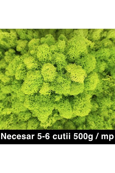 Roberto Rossi Licheni curatati si fara radacina conservati 500g NET, calitate...