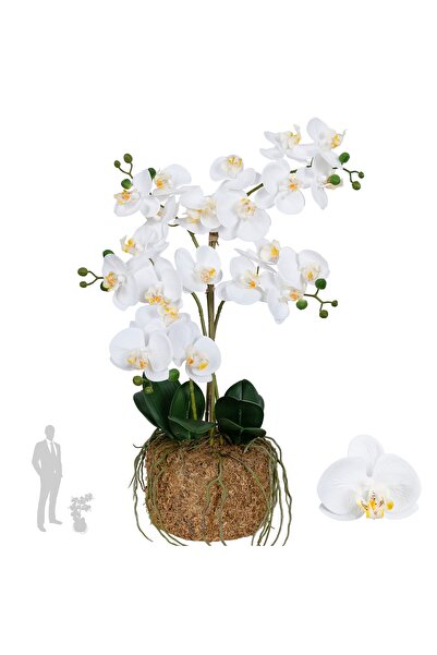 Roberto Rossi Orhidee artificiala alba cu aspect H59 cm cu 5 tulpini
