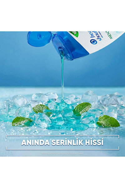 Head & Shoulders Buzlu Mentol Ferahlığı 800ml