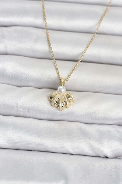 Inure Jewelry 316L Steel Chain Gold Color Sea Shell Model Women's Necklace