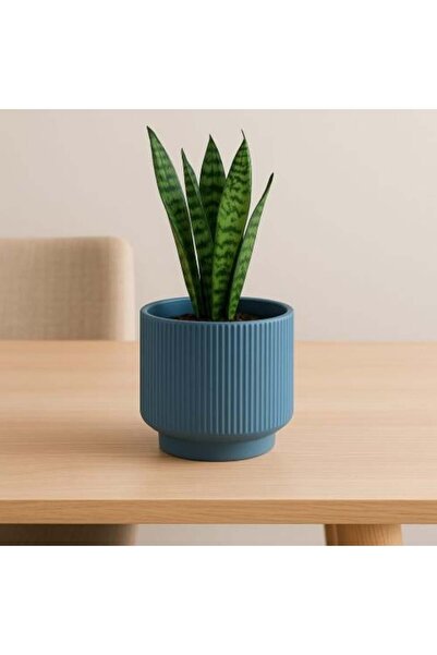 Generic وعاء نباتات من السيراميك بتصميم أنيق مضلع