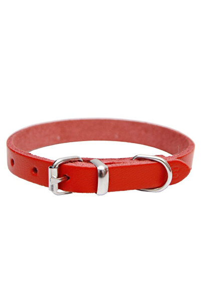 4dog Zgardă de câine din piele roșie, 10 x 290 mm, Mărime mică