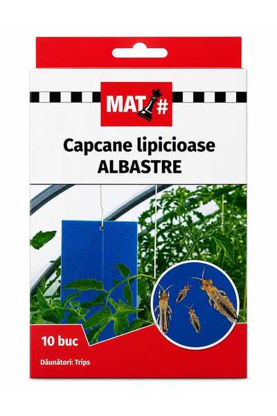 Mat 🔵 Capcane Lipicioase Albastre pentru Trips – Set 10 bucăți
