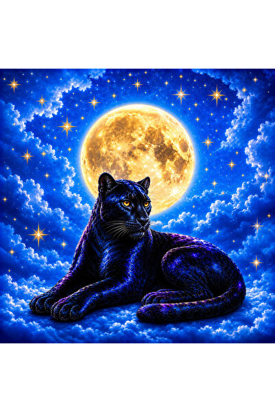Himera Bohem MIDNIGHT MOON PANTHER PAREO