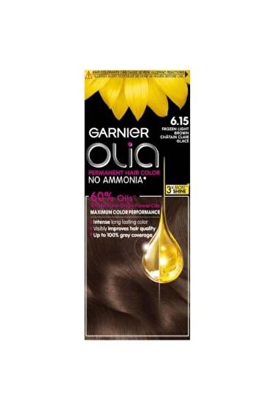 Garnier Garnier Ollia Hair Color Ammonia-Free Hair Dye - 6.15 Light Snow Brown