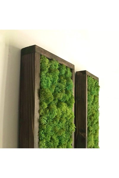 Narium Tablou din licheni 100x15 cm