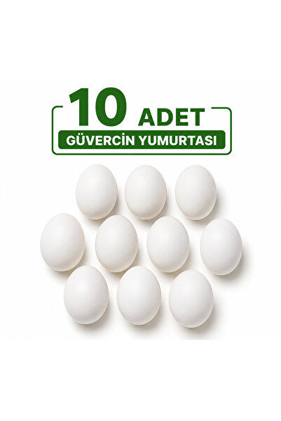 MENGVİT Güvercin Plastik Yumurta 10 adet