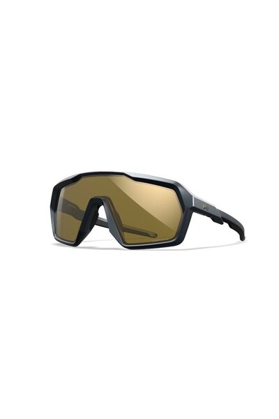 WILEY X Citadel Captivate Sunglasses (Gray)