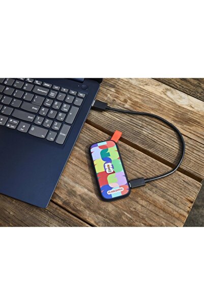 SanDisk Portable Ssd 1Tb Fifa World Cup 2026 Edition External Ssd - Sdssde30F-1T00-G25
