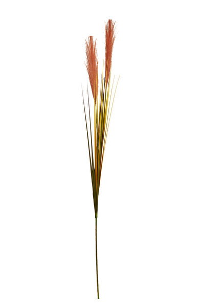 Paşabahçe Grass 92 cm Kahverengi, Dekoratif Yapay Buket, Şık Tasarım, Salon v...