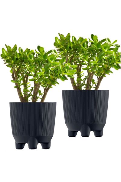 EDANTI Ghiveci rotund pentru flori 14,5 cm Set Antracit