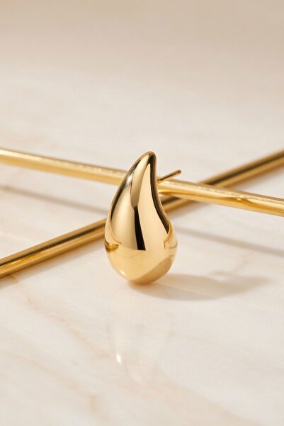 RMY MODA Women's Gold Drop Model Earrings