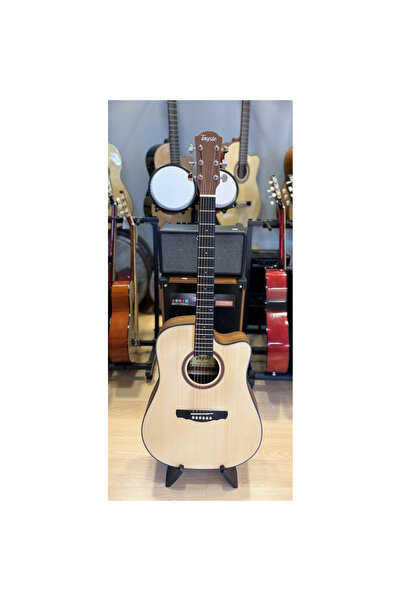 Tayste Akustik Gitar 4/4