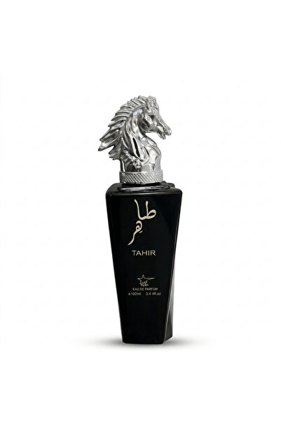Ayelet Parfum Tahir Silver 100 ML