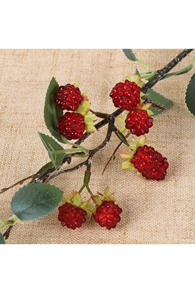 Choice1 Red Creative Red Raspberry Artificial Plant Green Leaves Photo Props ...