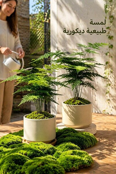 Generic عبوة واحدة من عشب الطحلب الاصطناعي المقاوم للماء، ديكور للنباتات والت...