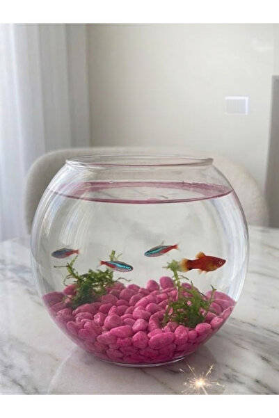 mucit home Kırmızı Pembe Karışık Fanus Taşı Akvaryum Balık Taşı