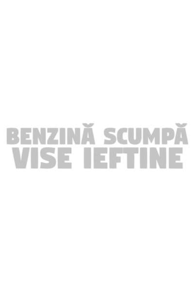 OEM Autocolant auto "Benzina scumpă, vise ieftine", 10cm, Alb
