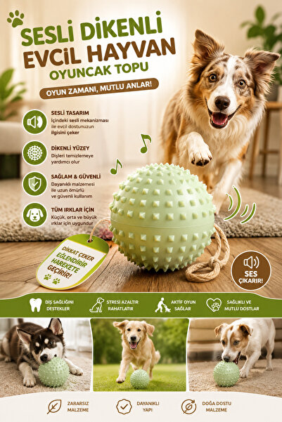 GÖZDE AKKURT Sesli Dikenli Evcil Hayvan Oyuncak Topu Köpek ve Kedi Oyun Topu