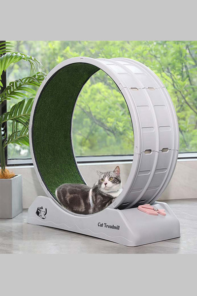 Treadmill Cat Treadmill Exercise Wheel Quiet Cat Fitness and Conditioning Wheel