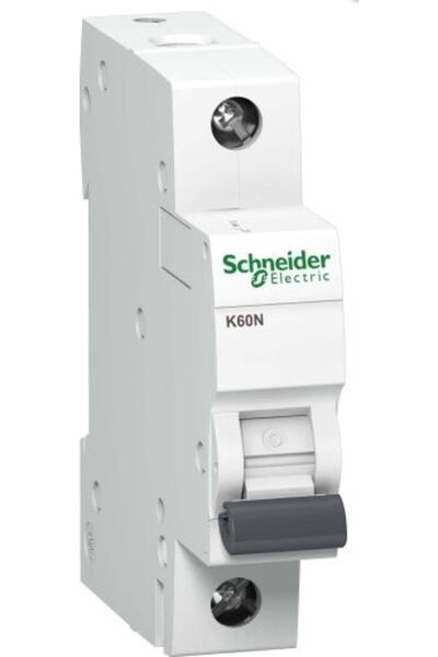 Schneider Electric Disjunctor automat 10A unipolar AC A9K02110