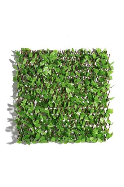 SUPERGREENS Τεχνητή Φυλλωσιά Πτυσσόμενη Φίκος Benjamin 100x200 εκ