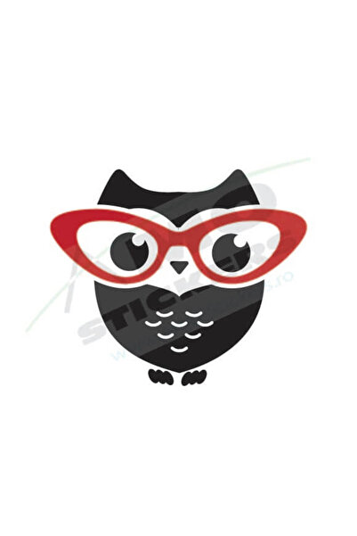Amo-Stickers Стикер за кола Бухал с очила 25см Бял