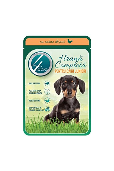 4dog Set 22 x Hrana Umeda pentru Caini, 4 Dog, Junior, cu Pui, 100 g