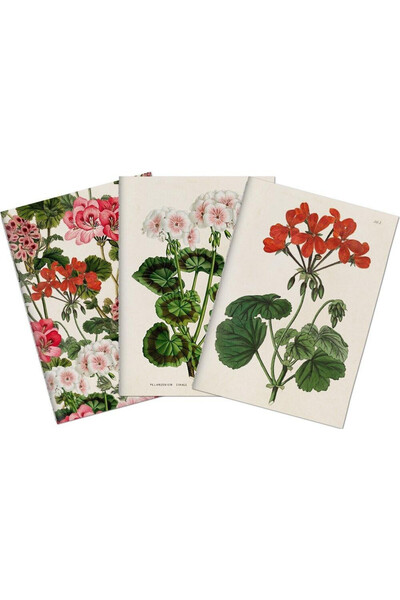 OEM Set 3 notite A6 Skona Ting, linii, pelargonii, multicolor
