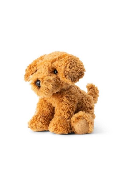 OEM Caine de plus Cockapoo cu jucărie educativă - One for Fun