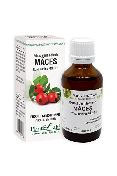 Plantextrakt Extract din Mladite de Maces 50ml