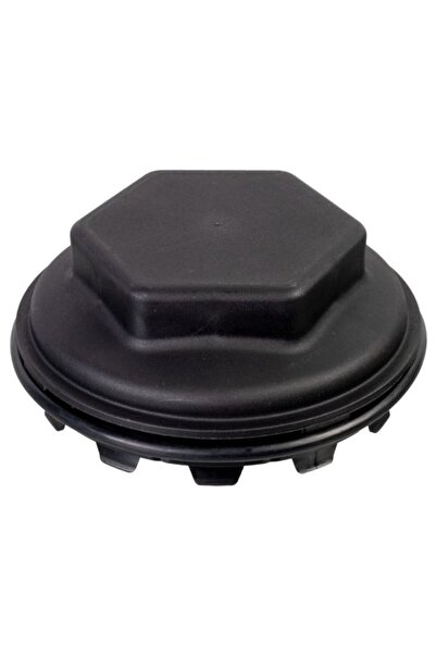 FEBI BILSTEIN Capac Butuc Roata Spate (cu O-ring) Mercedes Dca Tz Jost Dca JO...