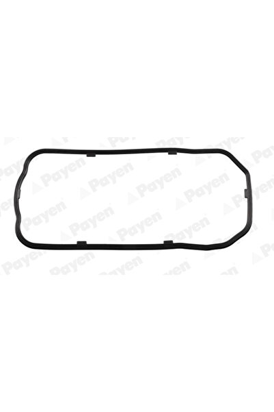 PAYEN Garnitura Pompa Ulei Citroen Jumper 3 Fiat Ducato Fuso (mitsubishi) Can...