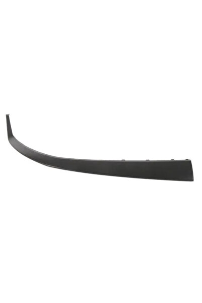 Blic Ornament Grila Radiator HYUNDAI IONIQ