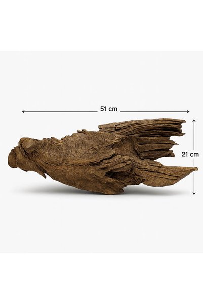 Ocean Free Decor acvariu Drift Wood Urias model XXL39