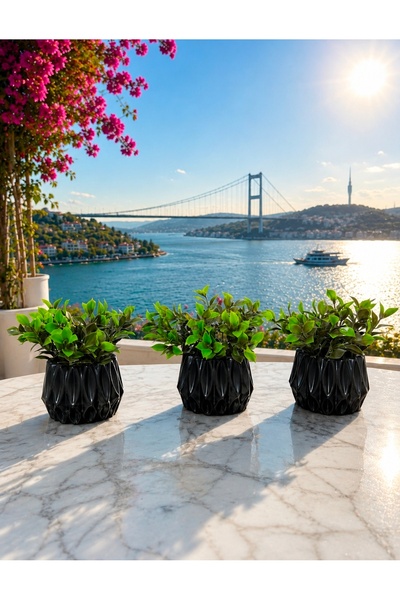 ev 3 prizma siyah saksı ve 3 yeşil yapraklı bitkiler raf ofis premium