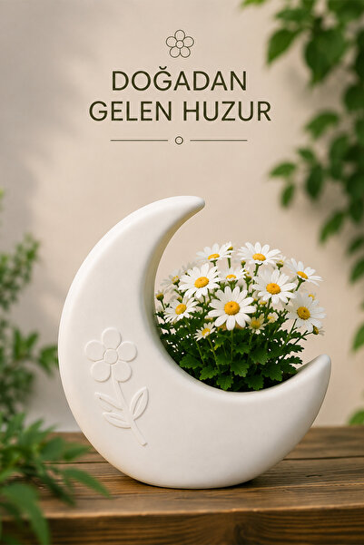 İBERİALHOME Luna Ay Dekoratif Vazo | Modern Çiçek Vazosu | Minimal Ay Şeklind...