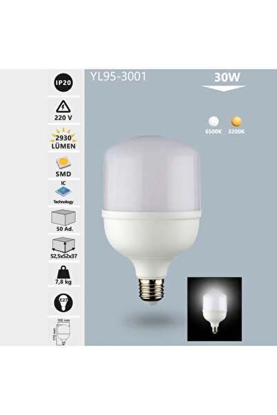 30W Led Torch Ampul Beyaz Işık