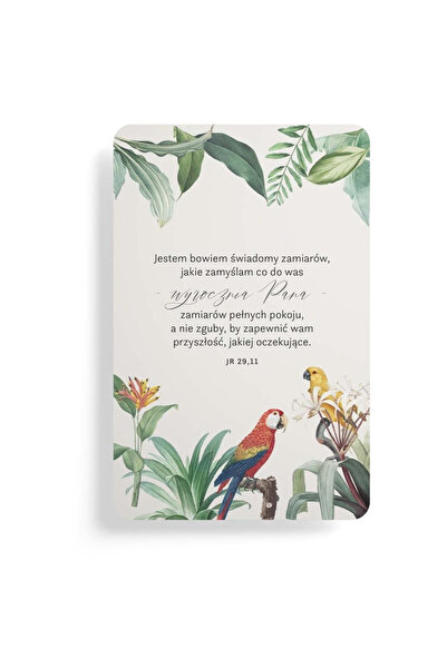 OEM Notes magnetic cu creion MP Main Paper multicolor 0x11x30cm