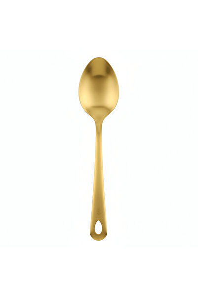 AKDC Stainless Steel Serving Spoon 25 cm – Gold