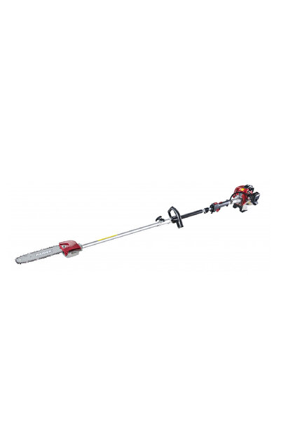 Raider Drujbă pe benzină RD-GPS 01, tijă detașabilă, 0.7 kW, 250 mm, extensie...