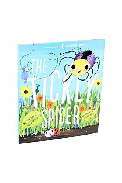 Silver Dolphin Books Tickly Spider