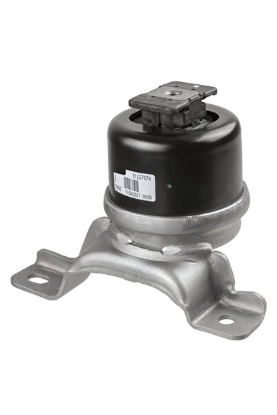 LEMFORDER Suport motor LEMFOERDER LMI43612