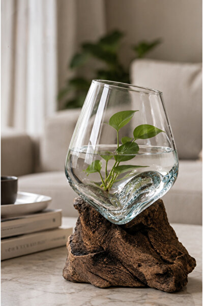 Generic Organic Shaped Glass Vase on a Twisted Wood Root