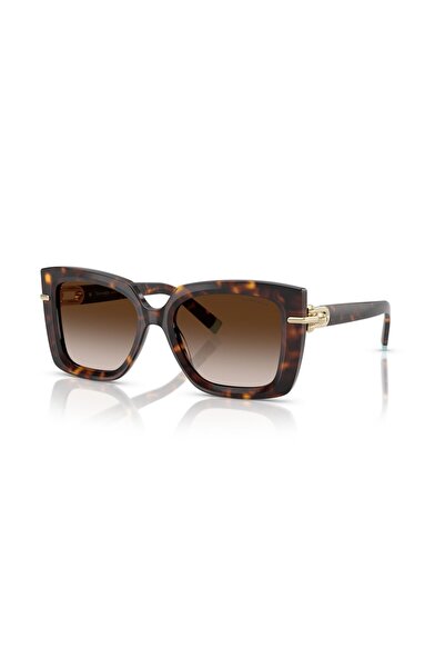 Tiffany&Co Co Tf4199 80153B Women's Sunglasses